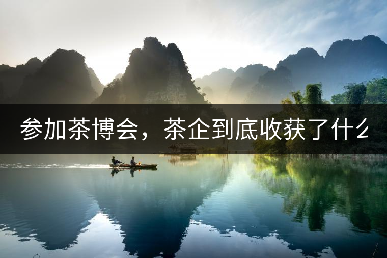 參加茶博會，茶企到底收獲了什么？