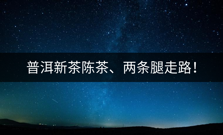 普洱新茶陳茶、兩條腿走路！