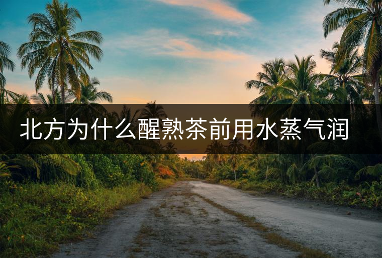 北方為什么醒熟茶前用水蒸氣潤一下？有何用處？