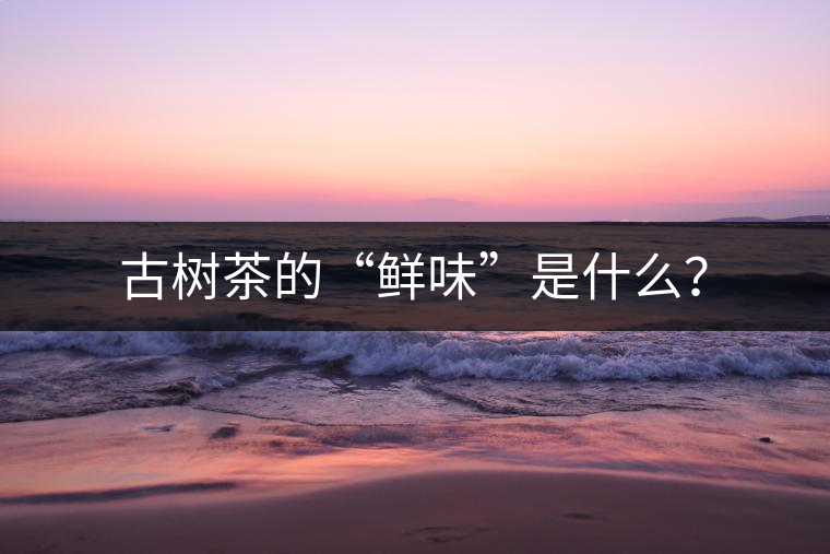 古樹茶的“鮮味”是什么？