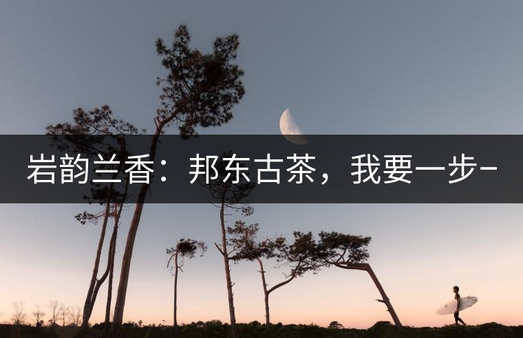 巖韻蘭香：邦東古茶，我要一步一步往上爬！