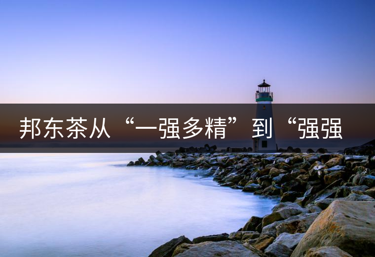 邦東茶從“一強(qiáng)多精”到“強(qiáng)強(qiáng)聯(lián)手”，是山頭茶未來(lái)的發(fā)展格局！