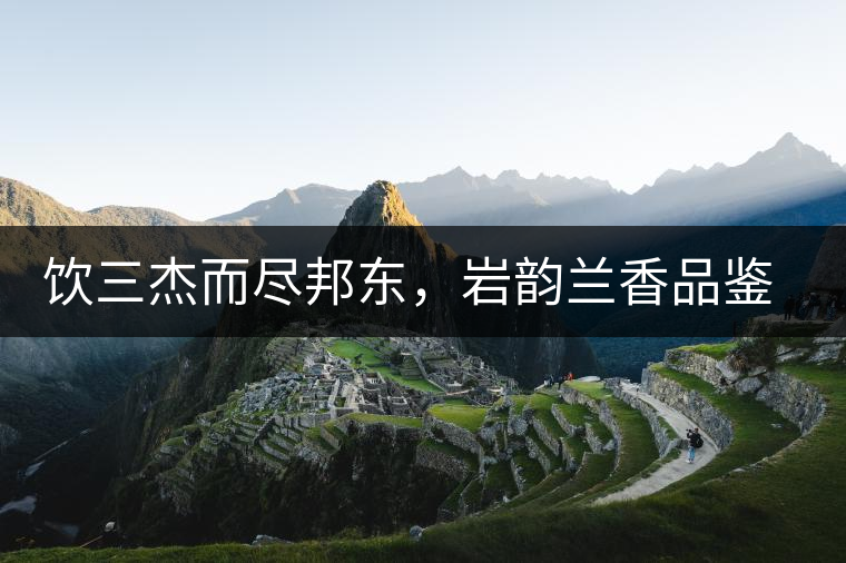 飲三杰而盡邦東，巖韻蘭香品鑒：生于山石上，韻味正當