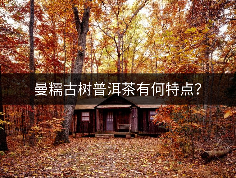 曼糯古樹(shù)普洱茶有何特點(diǎn)？