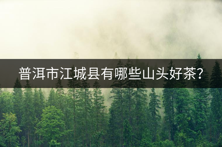普洱市江城縣有哪些山頭好茶？
