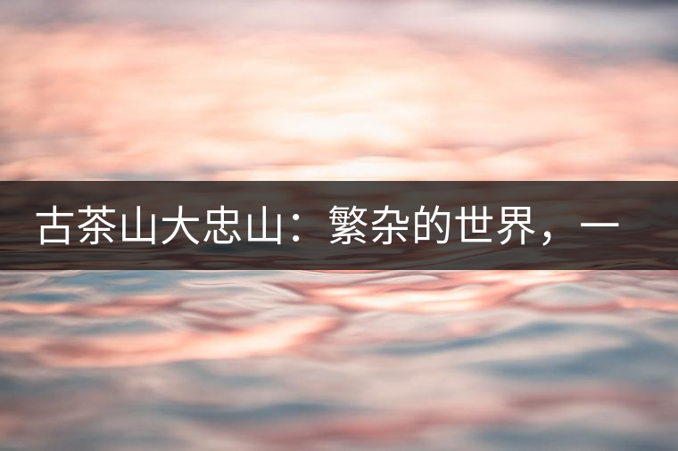 古茶山大忠山：繁雜的世界，一杯就夠了