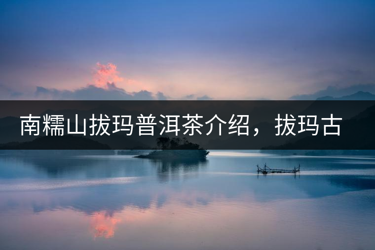 南糯山拔瑪普洱茶介紹，拔瑪古樹茶口感特點