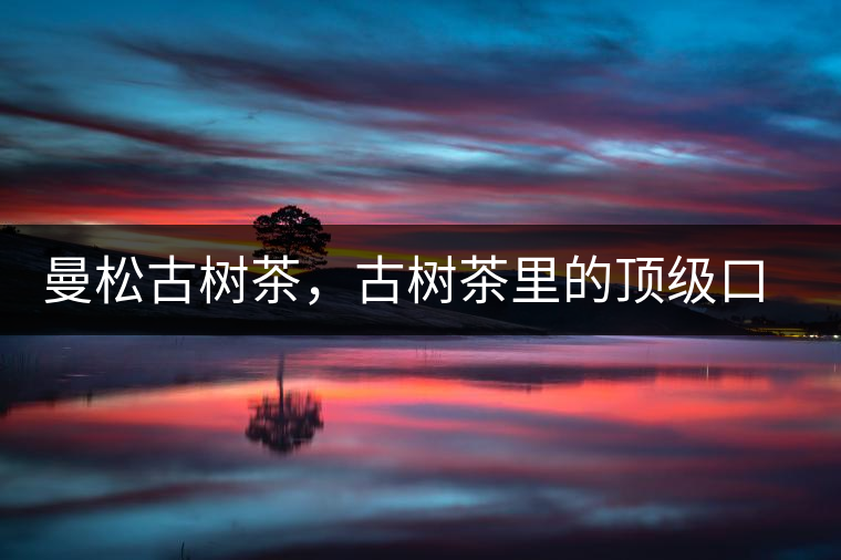 曼松古樹茶，古樹茶里的頂級口感