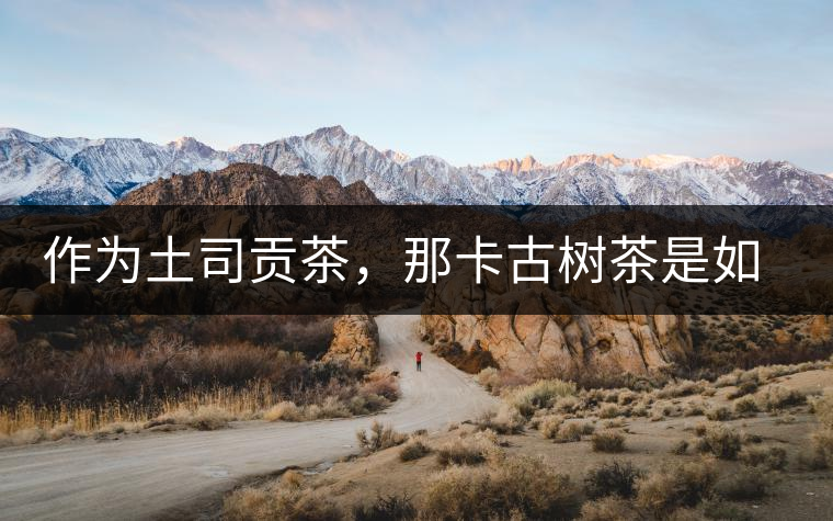 作為土司貢茶，那卡古樹茶是如何在眾多茶中脫穎而出的