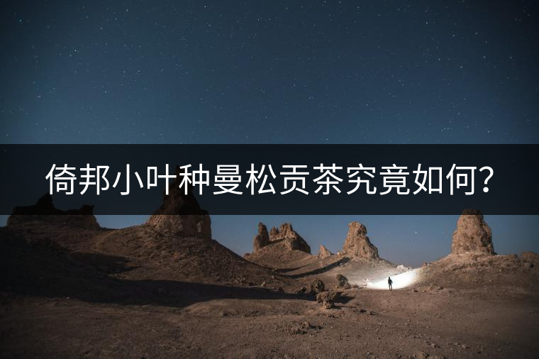 倚邦小葉種曼松貢茶究竟如何？