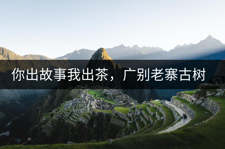 你出故事我出茶，廣別老寨古樹妖茶