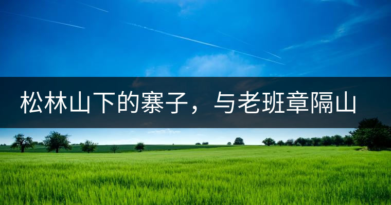 松林山下的寨子，與老班章隔山相望的廣別老寨