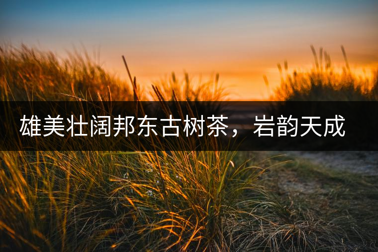 雄美壯闊邦東古樹(shù)茶，巖韻天成甘香鮮靈