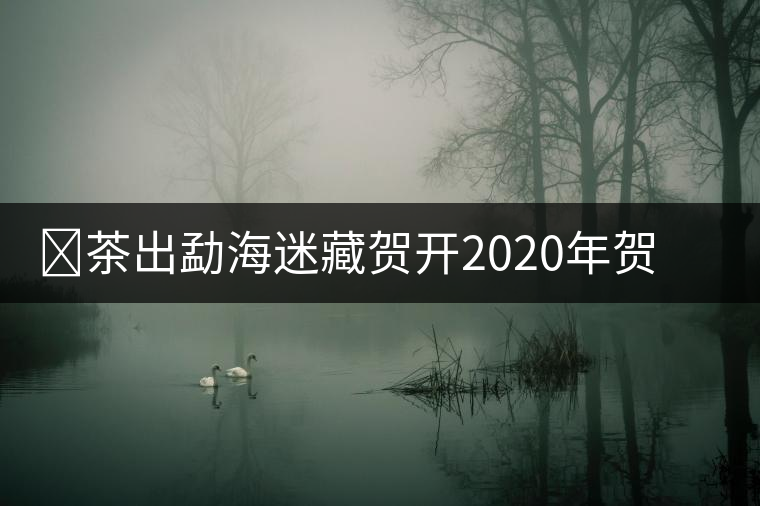 ?茶出勐海迷藏賀開2020年賀開春茶介紹