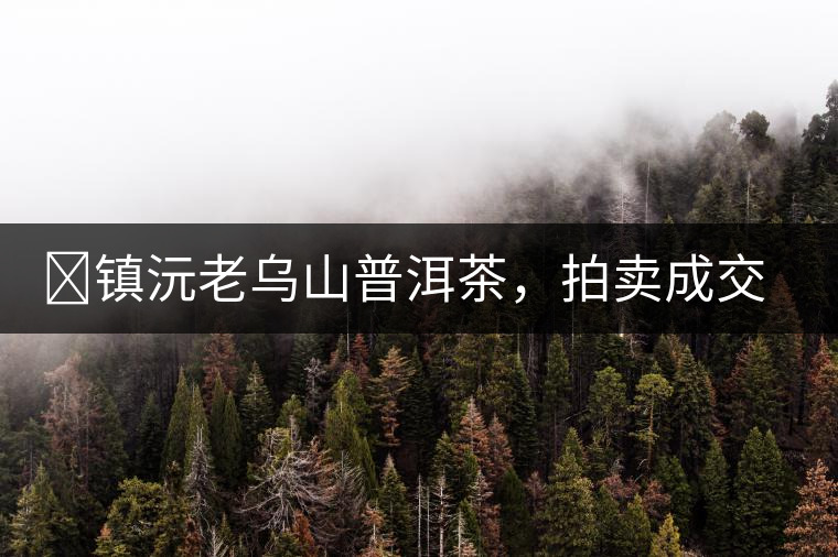 ?鎮(zhèn)沅老烏山普洱茶，拍賣成交價再創(chuàng)新高