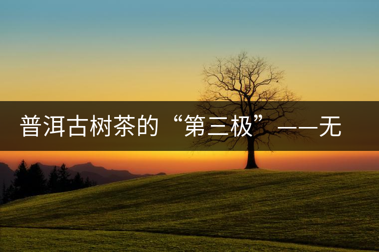 普洱古樹(shù)茶的“第三極”——無(wú)量山茶區(qū) 普洱古樹(shù)茶的“第三極”——無(wú)量山茶區(qū)