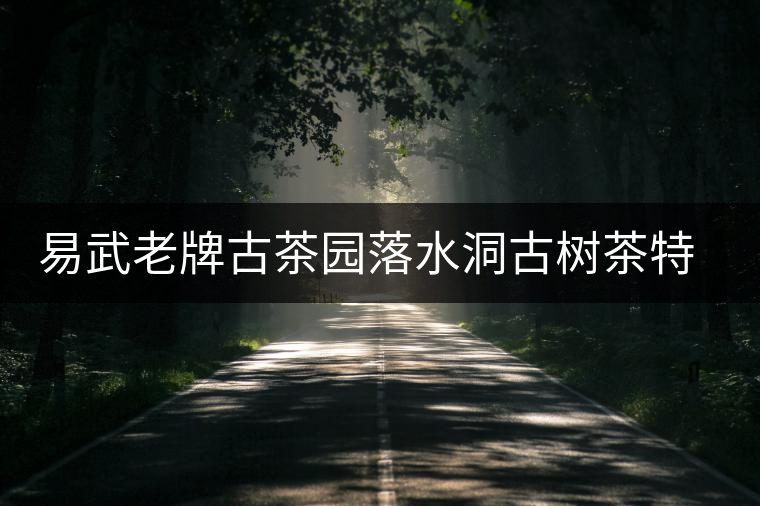 易武老牌古茶園落水洞古樹(shù)茶特點(diǎn)介紹