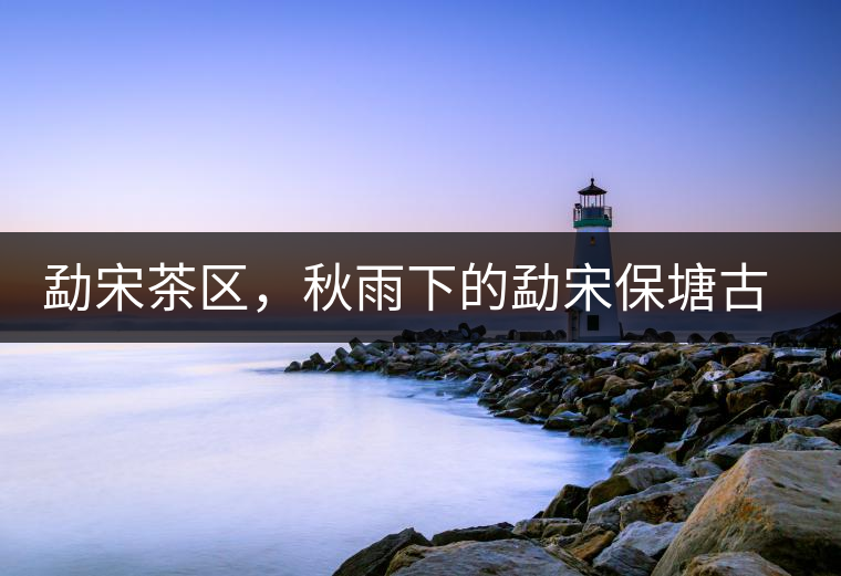 勐宋茶區(qū)，秋雨下的勐宋保塘古茶園