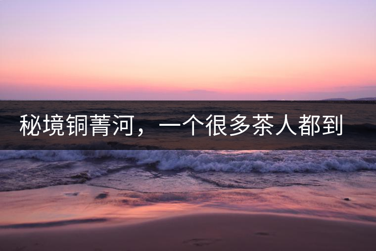 秘境銅菁河，一個(gè)很多茶人都到不了的地方