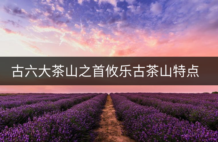 古六大茶山之首攸樂古茶山特點(diǎn)介紹