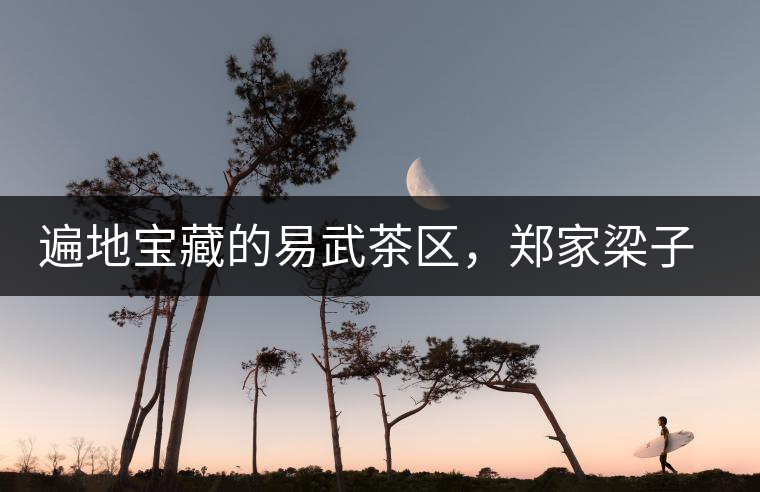 遍地寶藏的易武茶區(qū)，鄭家梁子荒田村古樹茶介紹