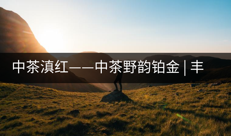 中茶滇紅——中茶野韻鉑金 | 豐苗挺秀，山野花香