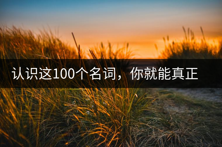 認(rèn)識(shí)這100個(gè)名詞，你就能真正了解普洱茶？