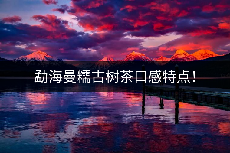 勐海曼糯古樹茶口感特點(diǎn)！