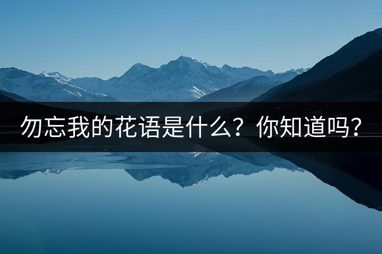 勿忘我的花語(yǔ)是什么？你知道嗎？
