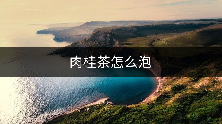 肉桂茶怎么泡 肉桂茶怎么泡