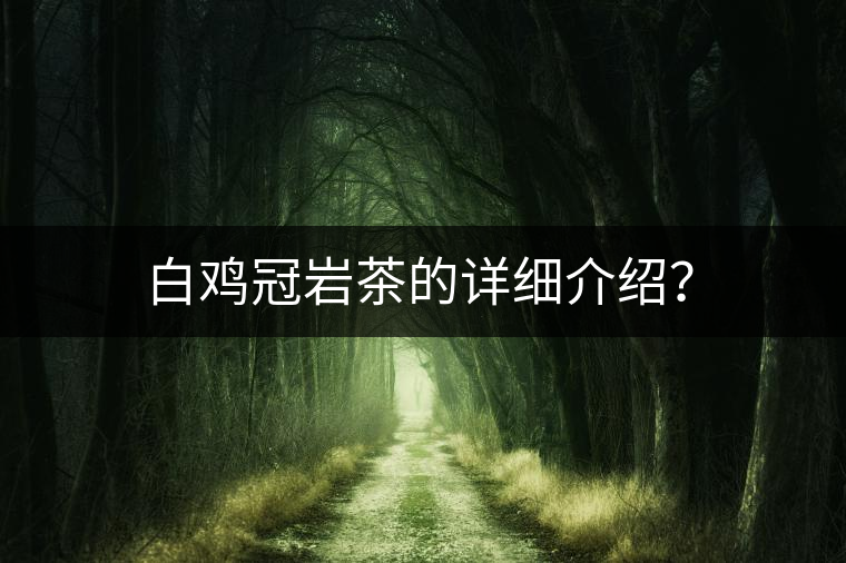 白雞冠巖茶的詳細介紹? 白雞冠巖茶的詳細介紹?