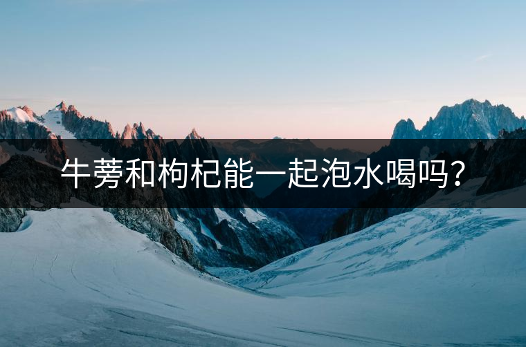 牛蒡和枸杞能一起泡水喝嗎？