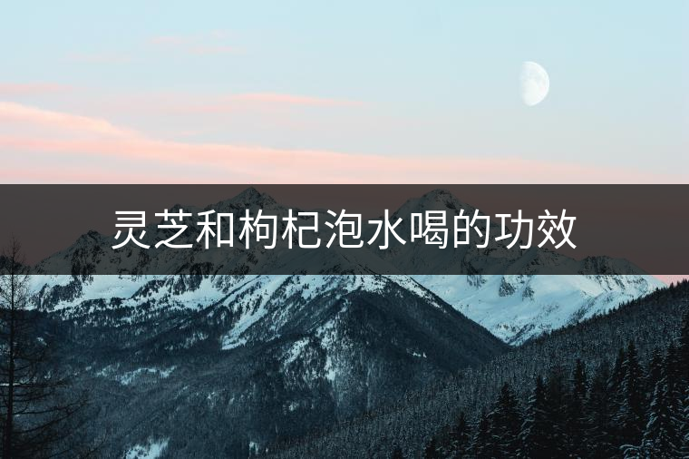 靈芝和枸杞泡水喝的功效 靈芝和枸杞泡水喝的功效