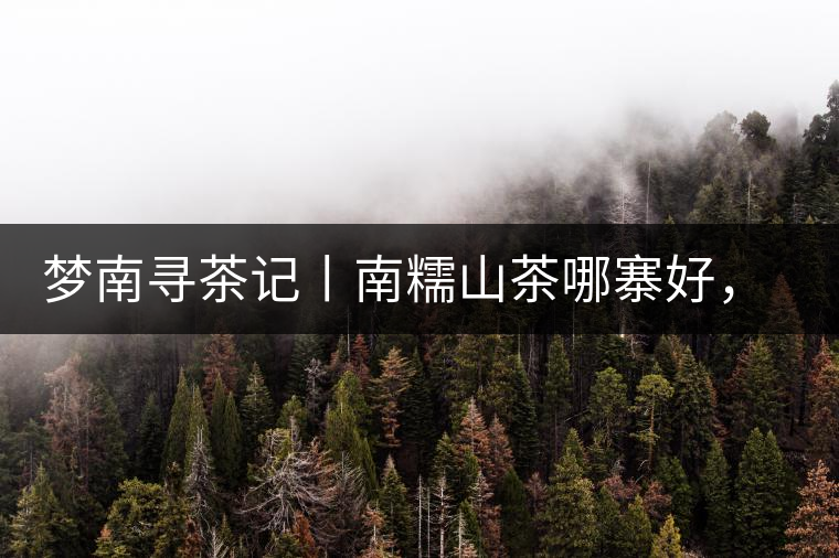 夢南尋茶記丨南糯山茶哪寨好，半坡老寨數(shù)第一