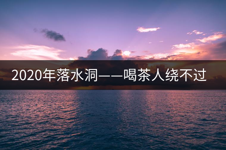 2020年落水洞——喝茶人繞不過的溫柔鄉(xiāng)！-易武中聘號