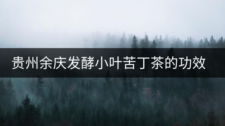 貴州余慶發(fā)酵小葉苦丁茶的功效與作用 貴州余慶發(fā)酵小葉苦丁茶的功效與作用