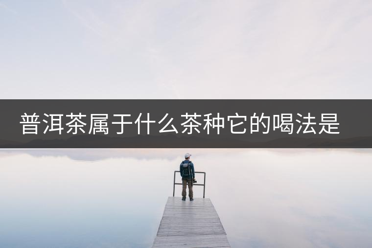 普洱茶屬于什么茶種它的喝法是怎么喝