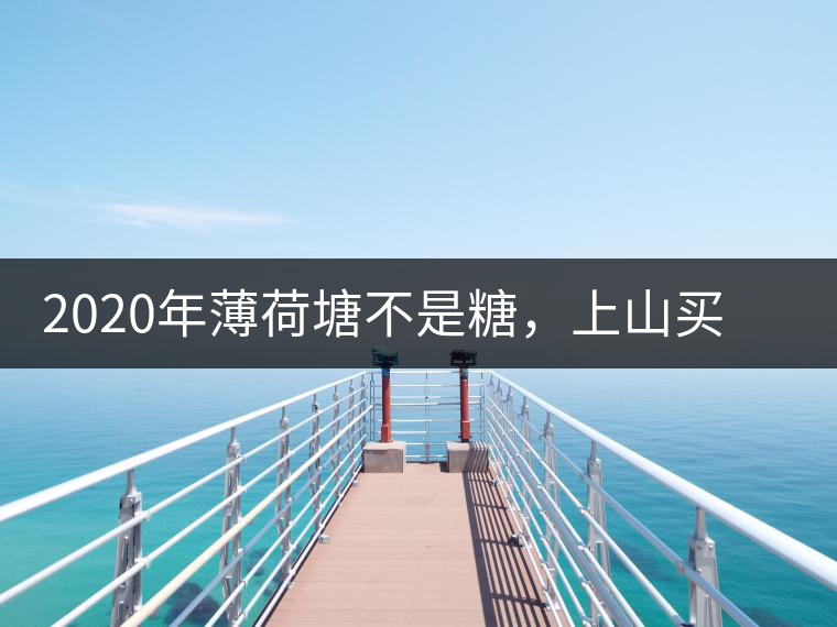 2020年薄荷塘不是糖，上山買茶除了帶鈔票還得搖號-易武中聘號