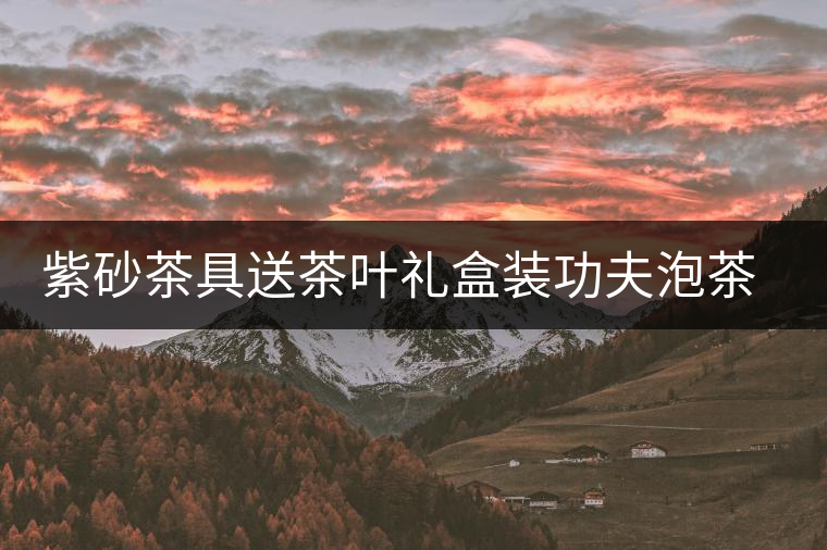 紫砂茶具送茶葉禮盒裝功夫泡茶茶蓋碗送禮高檔會(huì)客送普洱小青柑