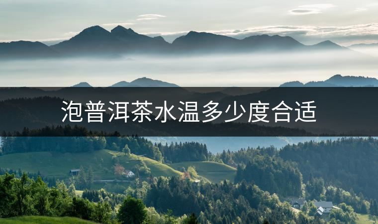 泡普洱茶水溫多少度合適 泡普洱茶水溫多少度合適