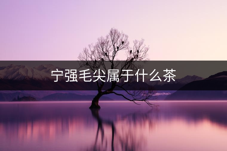 寧強(qiáng)毛尖屬于什么茶 寧強(qiáng)毛尖屬于什么茶
