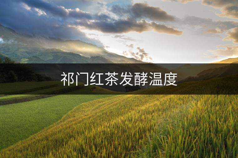祁門紅茶發(fā)酵溫度