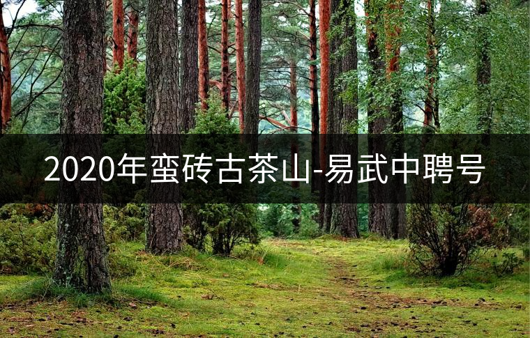 2020年蠻磚古茶山-易武中聘號(hào)