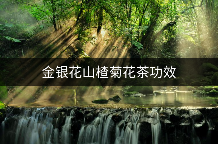 金銀花山楂菊花茶功效