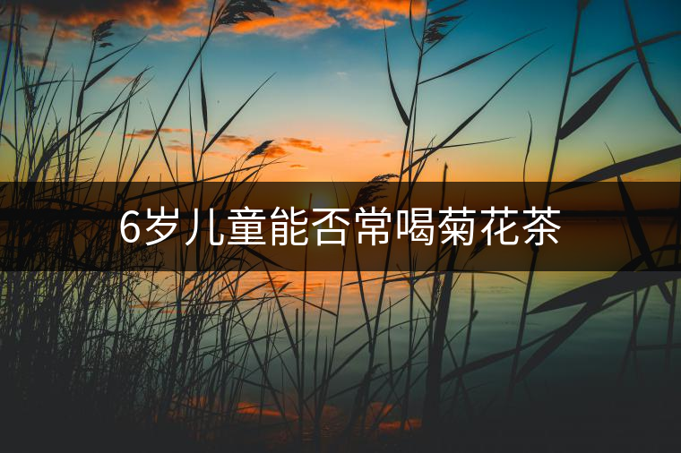6歲兒童能否常喝菊花茶