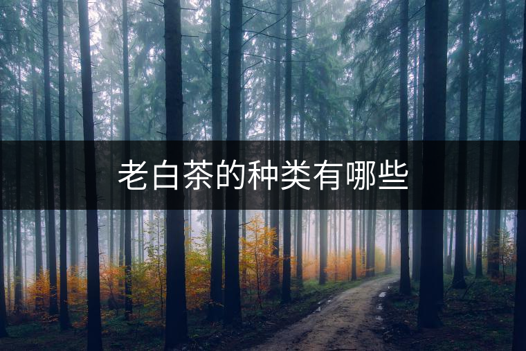 老白茶的種類有哪些 老白茶的種類有哪些