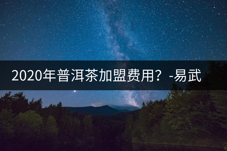 2020年普洱茶加盟費用？-易武中聘號