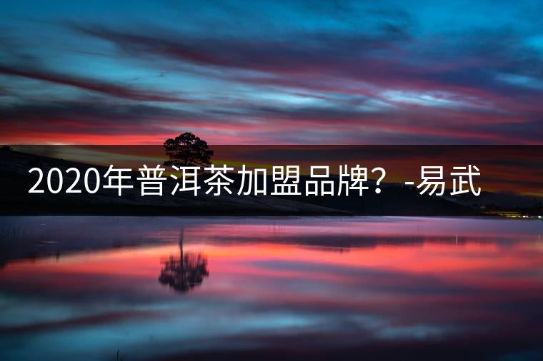 2020年普洱茶加盟品牌？-易武中聘號