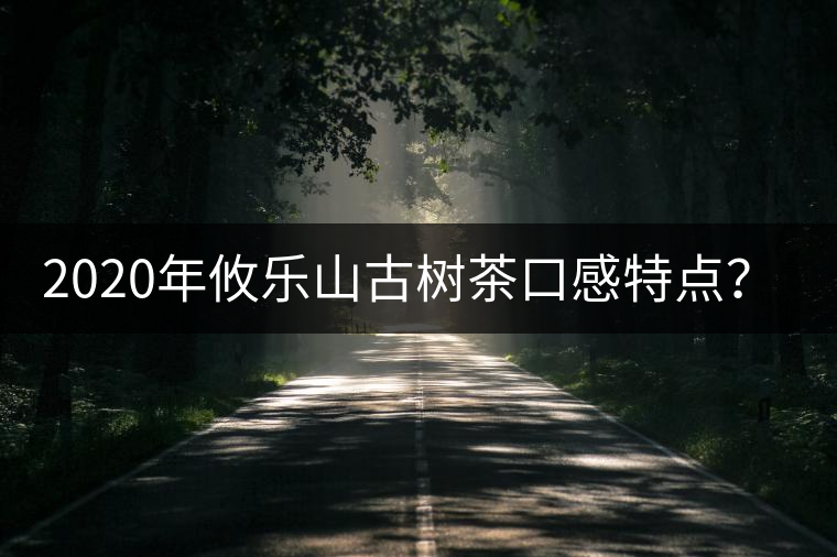 2020年攸樂山古樹茶口感特點(diǎn)？-易武中聘號(hào)