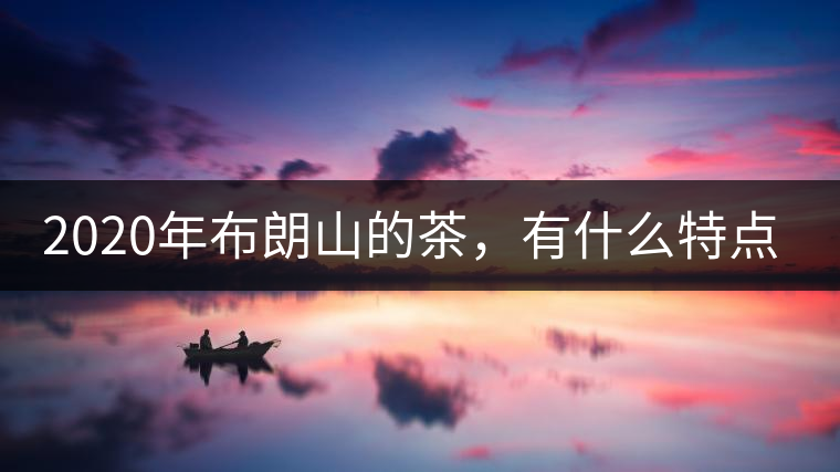2020年布朗山的茶，有什么特點(diǎn)？-易武中聘號